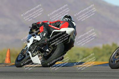 media/Feb-04-2023-SoCal Trackdays (Sat) [[8a776bf2c3]]/Turn 9 Backside (145pm)/